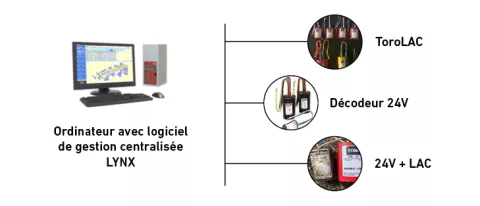 schema lac lynx