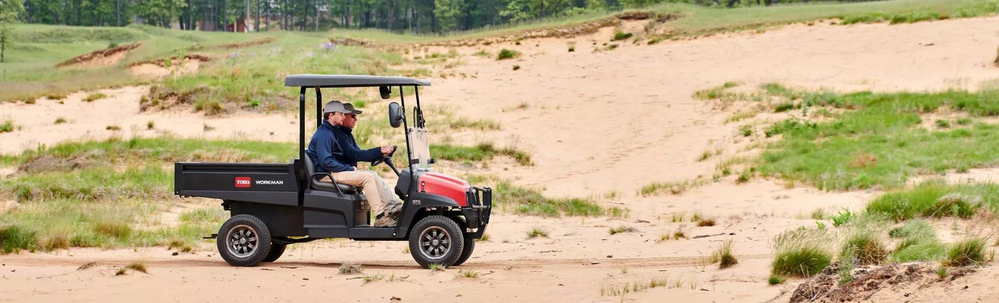Toro Workman® série GTX électrique