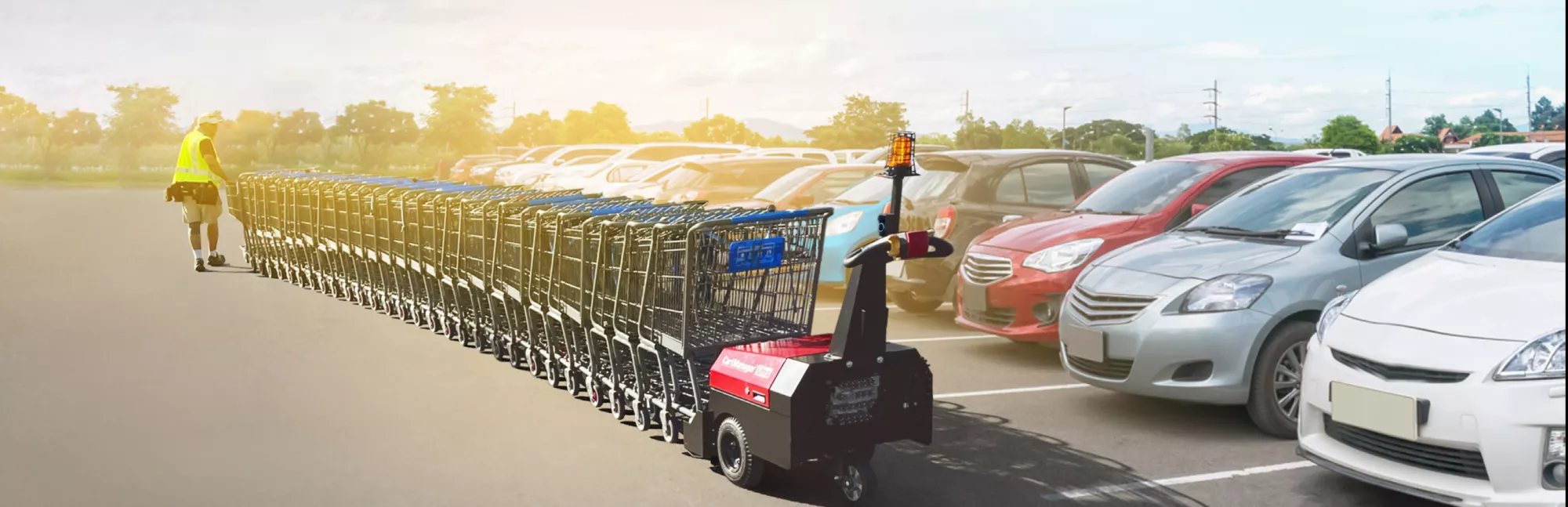 Cart manager Ultra