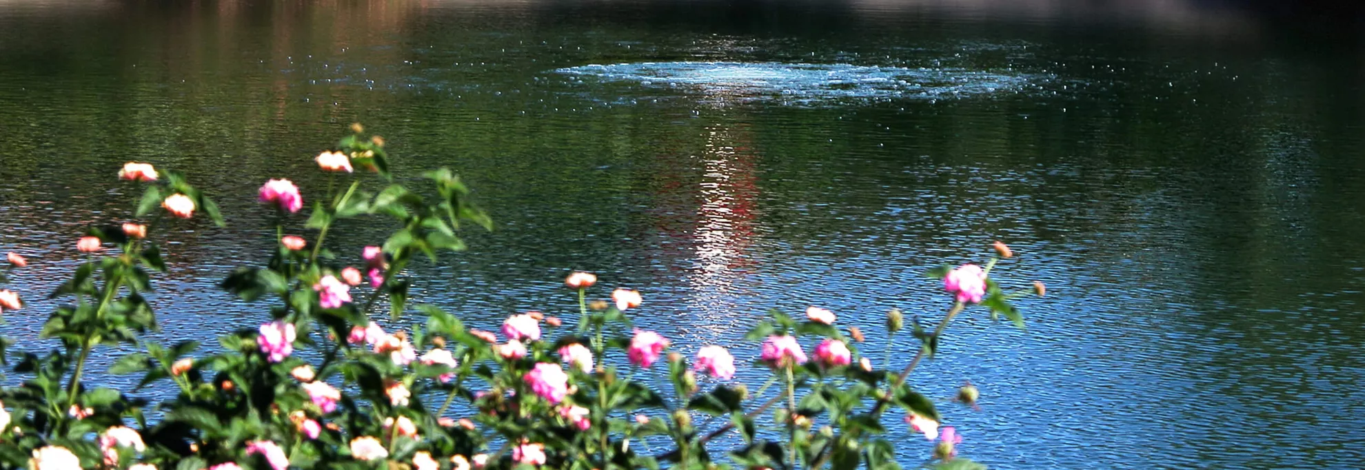 Aérateur aqua air