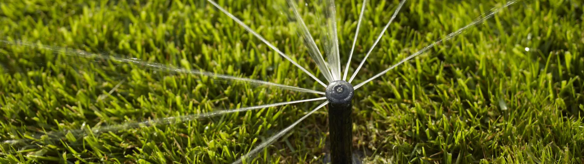 Série Précision™