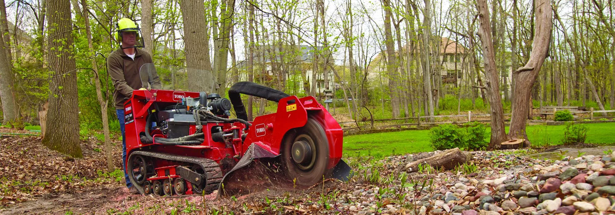 de souches STX-26 / STX-38