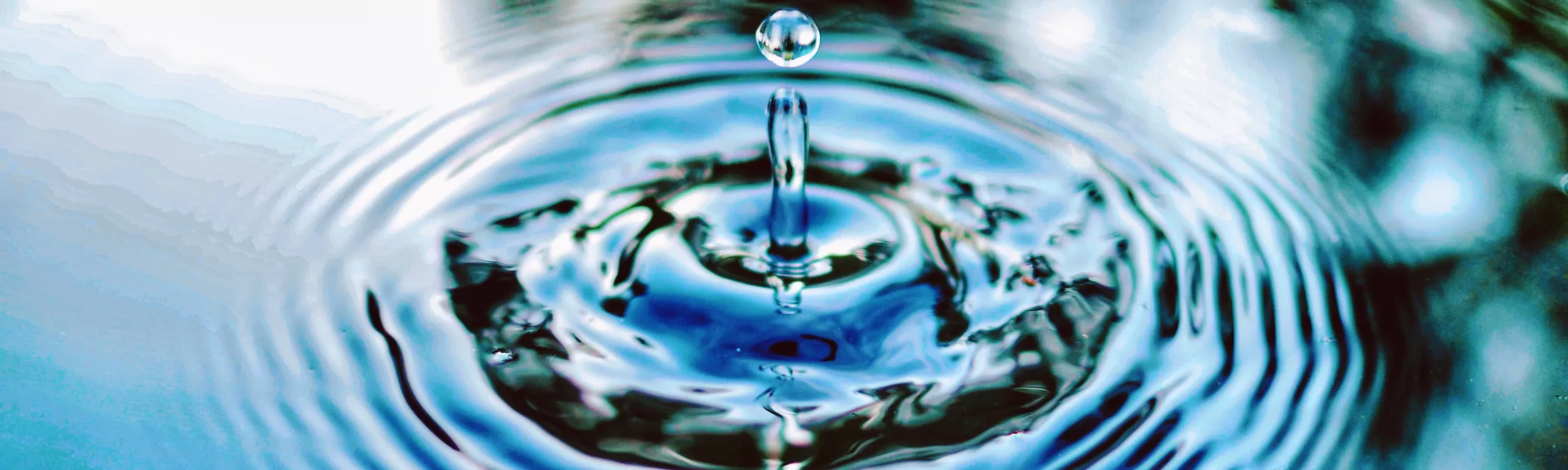 Hako engagé à réduire son impact sur l'environnement et préserver les ressources en eau