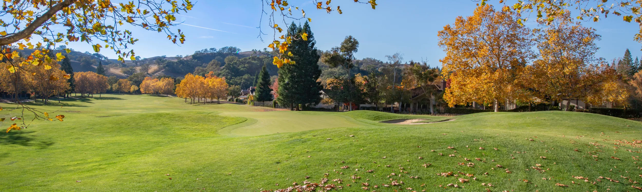 L'Automne est arrivé, misez sur les souffleurs professionnels pour vos golfs !!