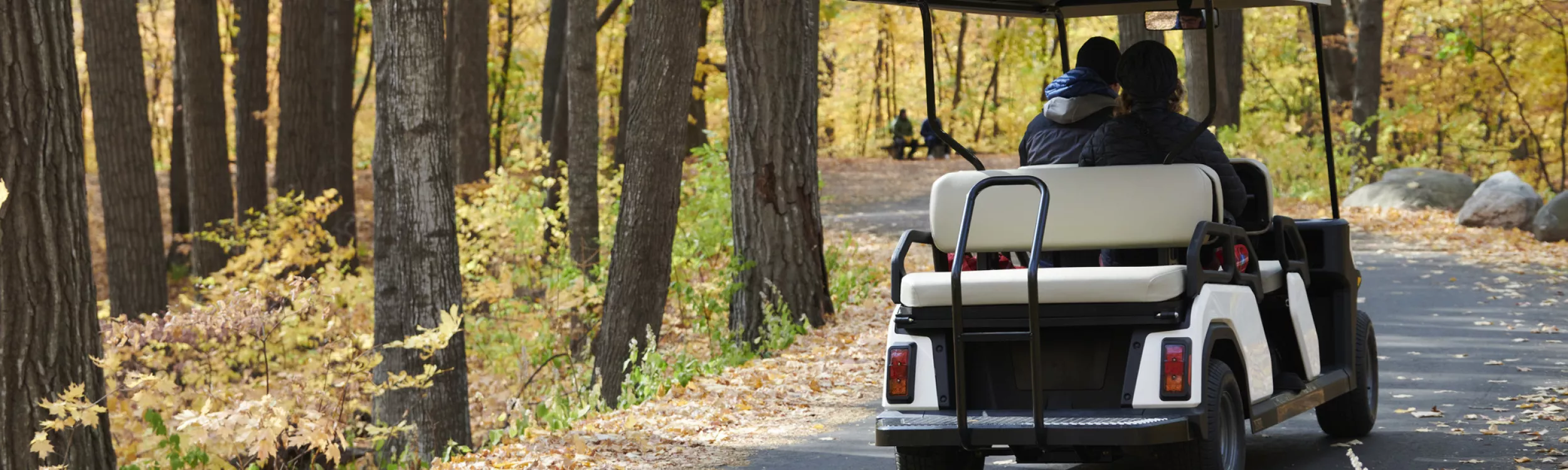 Véhicules - Voitures de golf - Hako France