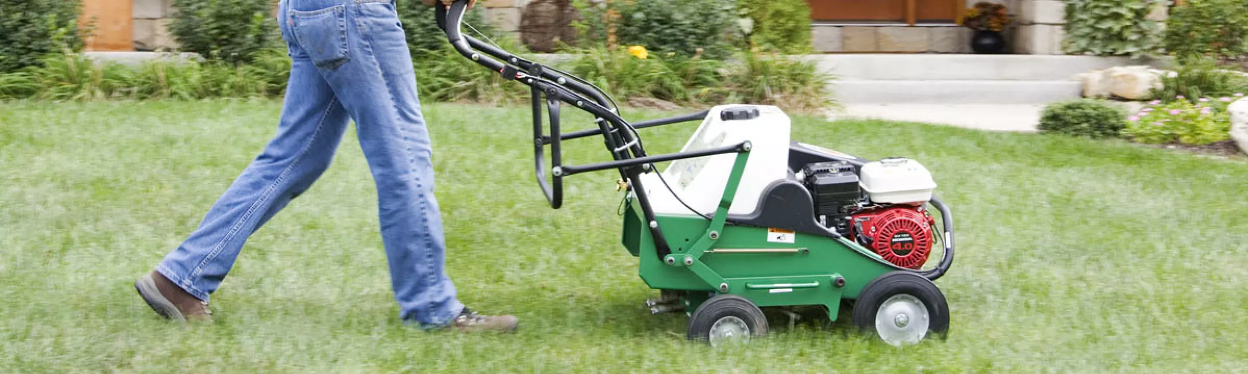 Sélection Billy Goat pour la rénovation des pelouses