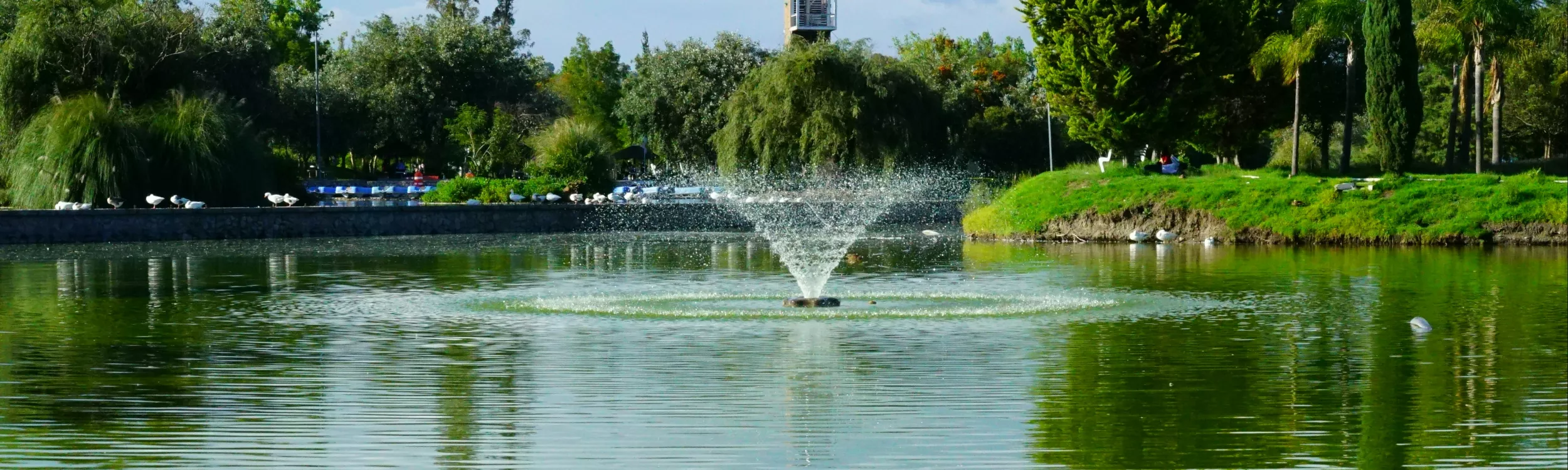 Responsabilité écologique - Hako France