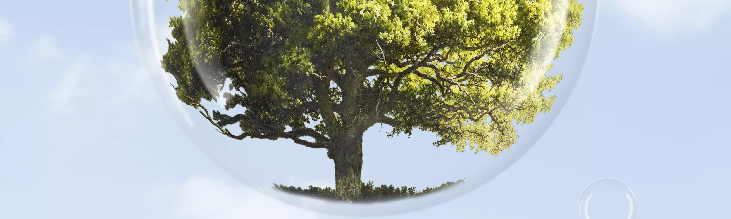 Hako France récompensée par ECOVADIS pour son engagement RSE 