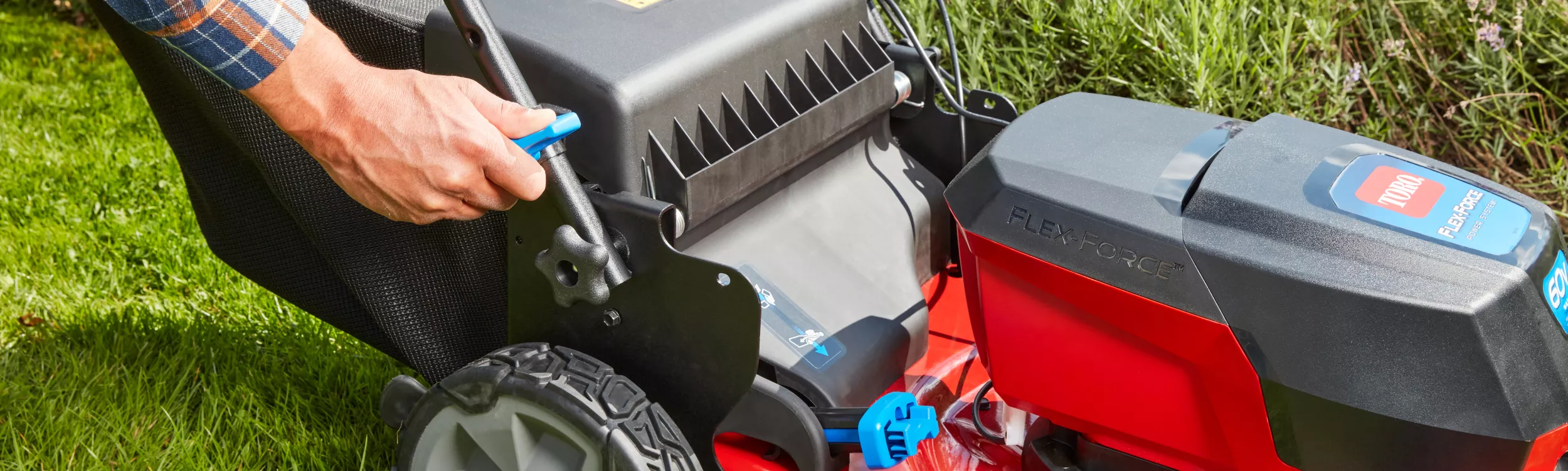 Blue Features : innovation et ergonomie