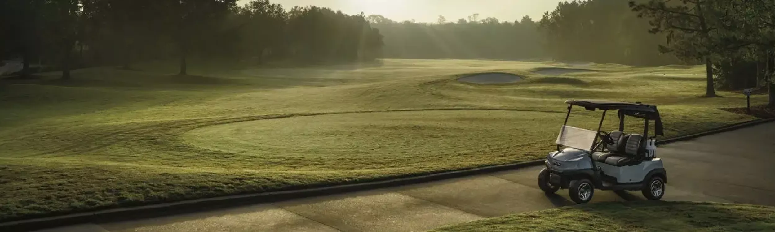 Guide d'achat 2026 : choisir sa voiturette électrique selon ses besoins professionnels ou personnels