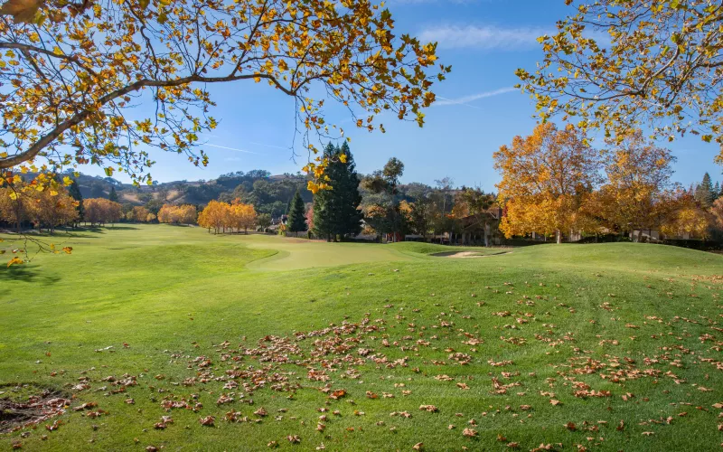 L'Automne est arrivé, misez sur les souffleurs professionnels pour vos golfs !!