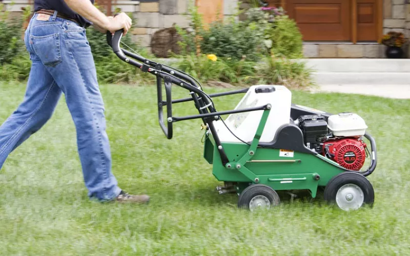 Sélection Billy Goat pour la rénovation des pelouses