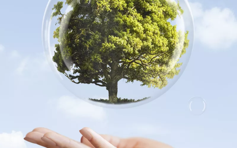 Hako France récompensée par ECOVADIS pour son engagement RSE 