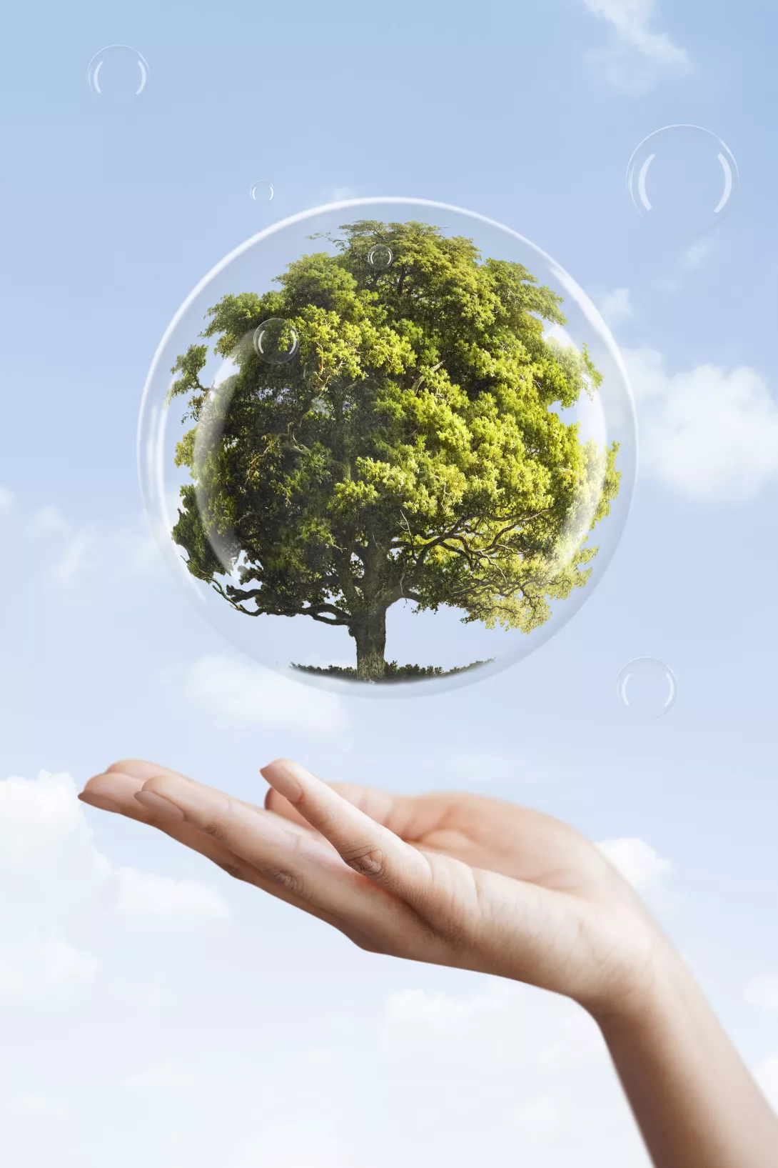 Hako France récompensée par ECOVADIS pour son engagement RSE 